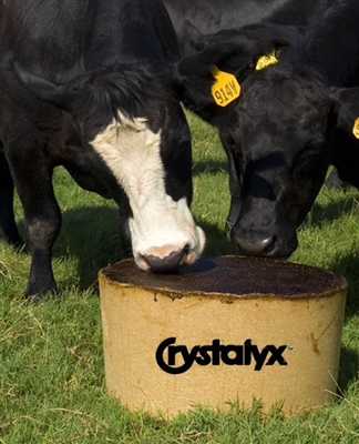 Livestock Feeds & Products - Crystalyx for Beef