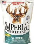 Imperial Whitetail Clover