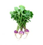Seed - Purple Turnips