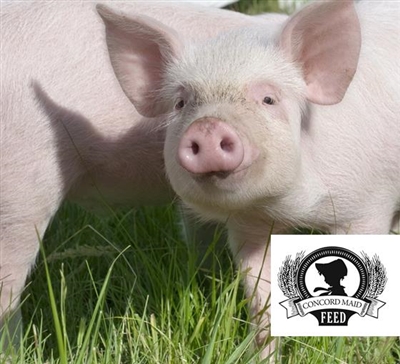 Swine Feeds Swine Feeds