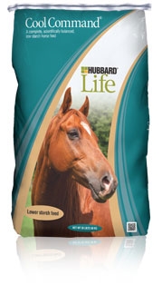 Hubbard Life Equine